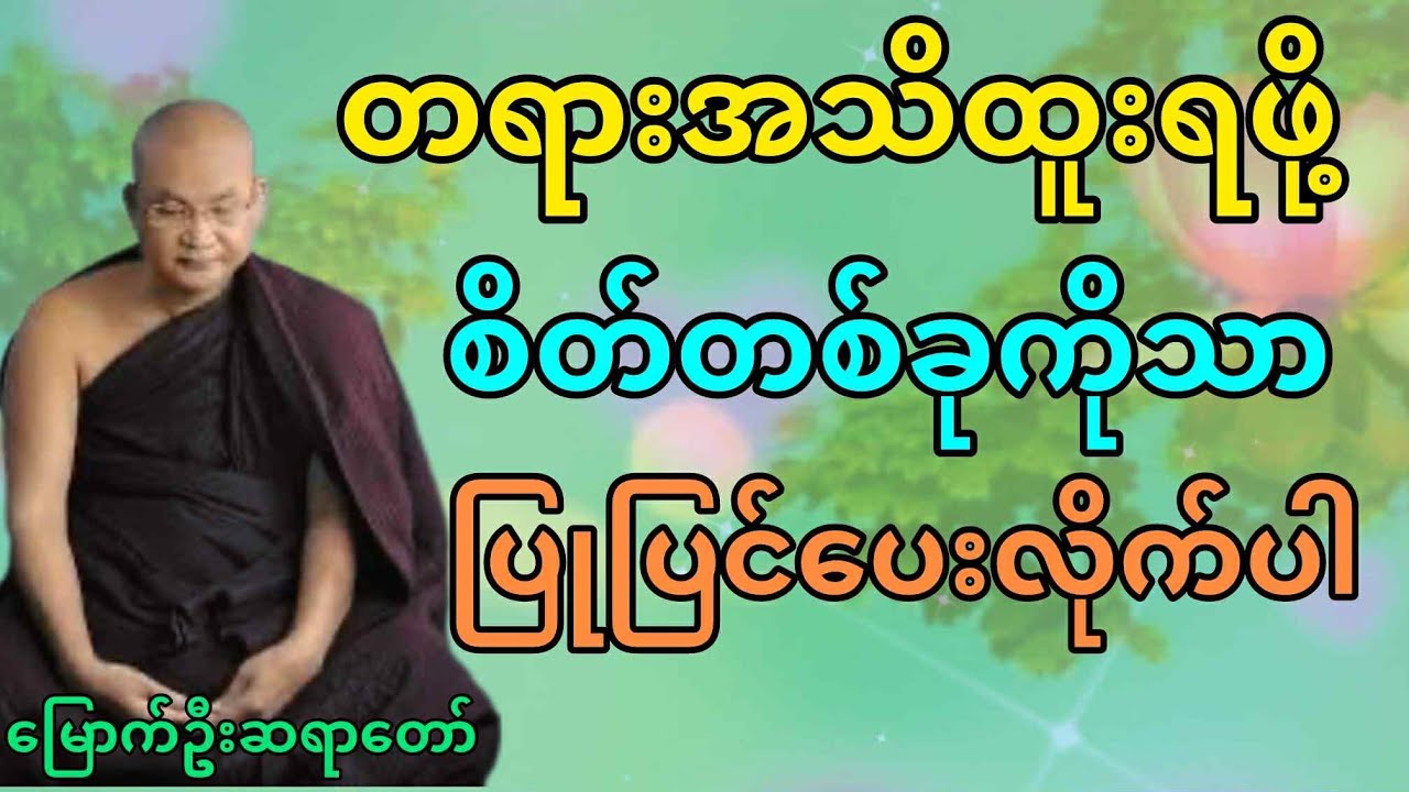 တရားအသိထူးရဖို့ စိတ်တစ်ခုကိုသာ ပြုပြင်ပေးလိုက်ပါ#မြောက်ဦးဆရာတော် @DhammaSanyay