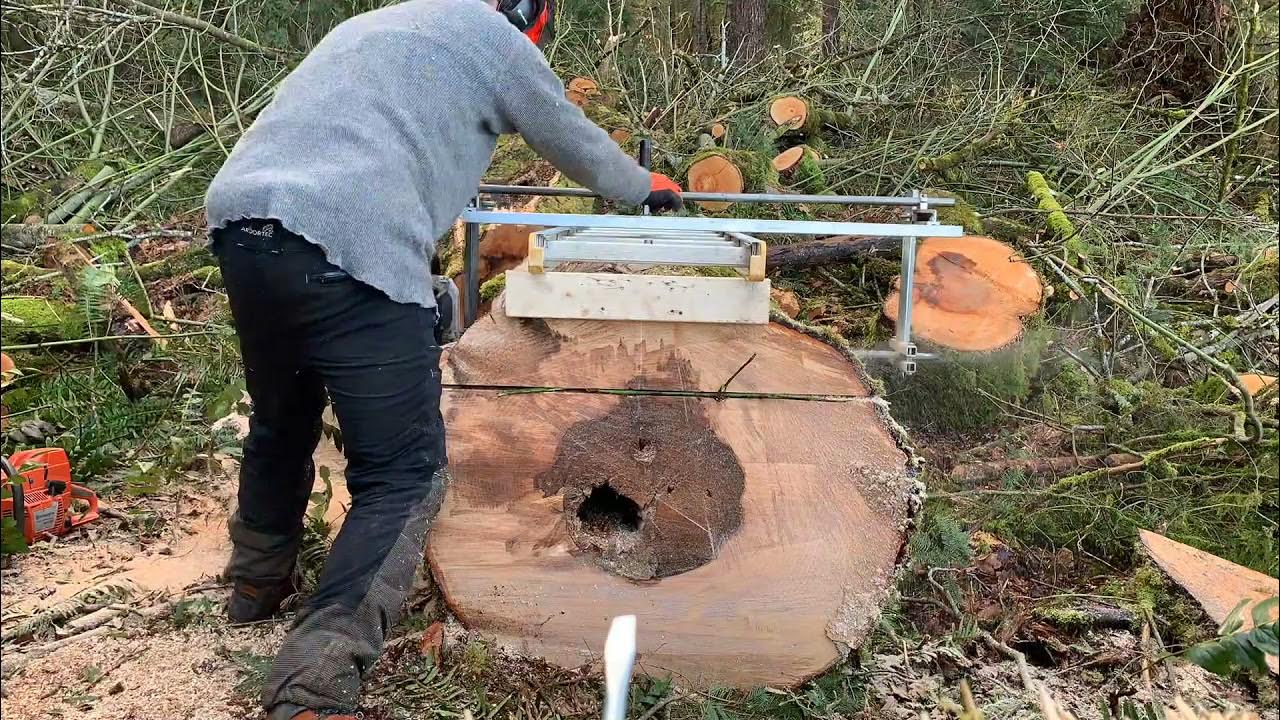 Chainsaw Milling Large Big Leaf Maple YouTube