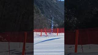 7세 스키#겨울은스키2탄#용평리조트#대학스키연맹대회유치부1등