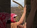 LINDA! Juliette em novo vídeo no Lajedo Pai Mateus, na Paraíba. #Juliette #Nordeste #Shorts