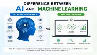 Information AI vs Machine Learning — What's the Difference News