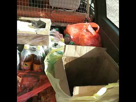 Кафе на колесах