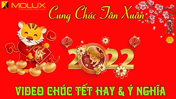 VIDEO| Chúc mừng năm mới hay và ý nghĩa dành tặng khách hàng