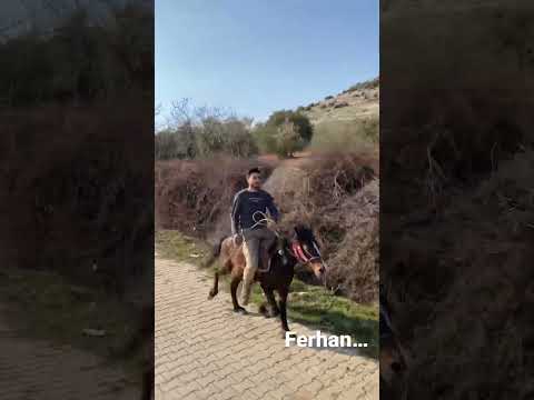 #rahvanatlar #rahvan #horse