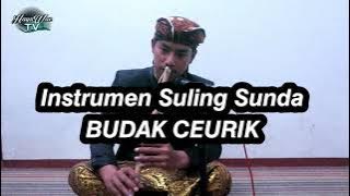 Instrumen Suling Sunda - Budak Ceurik (Ripal alpian)
