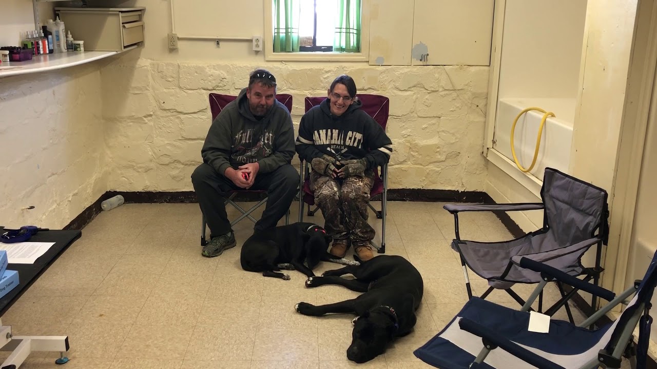 ONYX AND PIPPERS OWNERS TESTIMONIAL puppy training crate schedule