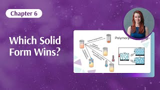 Celebrity Solid State Foundations | Chapter 6: Screening Net Worth
