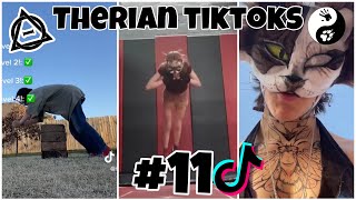 Therian Tiktoks #11