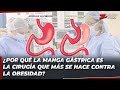 Rafael González García: ¿por qué la manga gástrica es la cirugía que más se hace contra la obesidad?