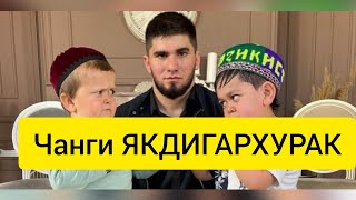 Мультик!Абдурозик кати Хасбик Тамаева мочка кадан!/Барон в ах*е!