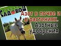 АЗОТ ПОЧВЕ И В РАСТЕНИЯХ. АЗОТНЫЕ УДОБРЕНИЯ