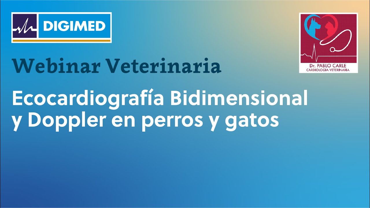 Ecocardiografía Bidimensional y Doppler en perros y gatos con el Dr. Pablo Carle.