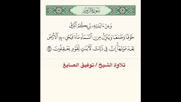 #تلاوة ﴿ وَمِن آياتِهِ يُريكُمُ البَرقَ خَوفًا وَطَمَعًا وَيُنَزِّلُ مِنَ السَّماءِ ماءً ﴾..الآية