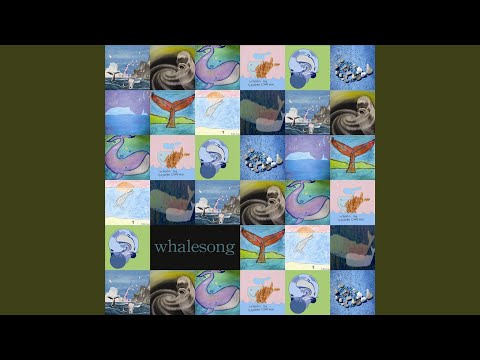 在 YouTube 上观看 whalesong