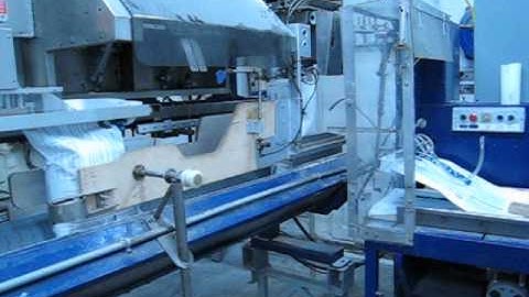 Pacepacker Model C & Topform bag feeder - Wise Packaging Equipment Ltd