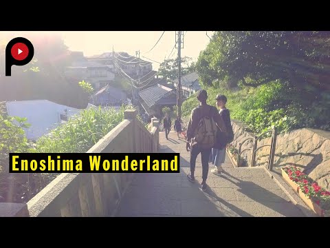 Enoshima Wonderland | 夏の江ノ島巡り inbound officer คือ