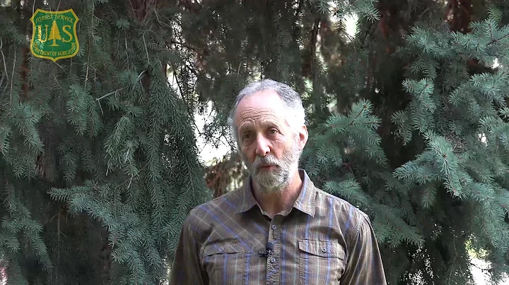 Meet Ecologist Peter Landres