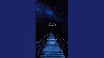 ماهر المعيقلي | سورة التحريم