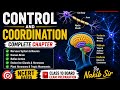 Control and Coordination Explained in Simple Language | Class 10 Science