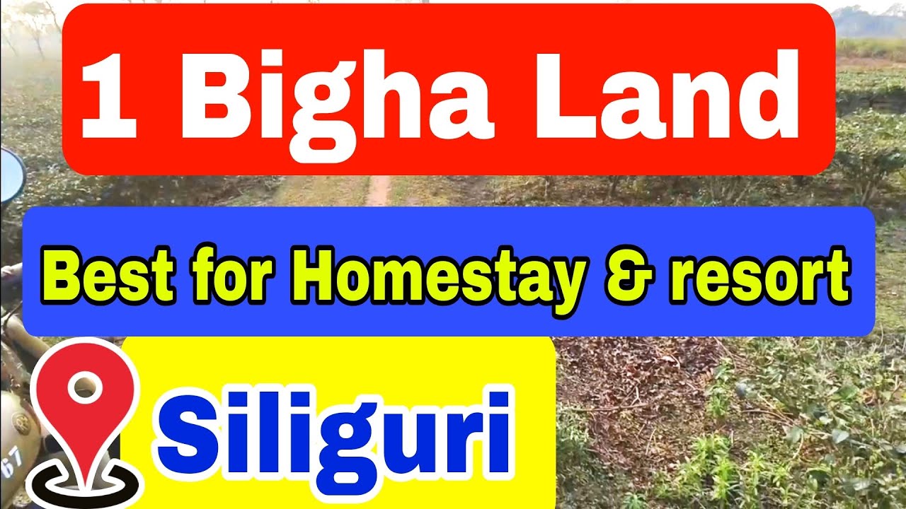 Nature Side Investment Land in Siliguri | 1 Bigha Wide Front Plot