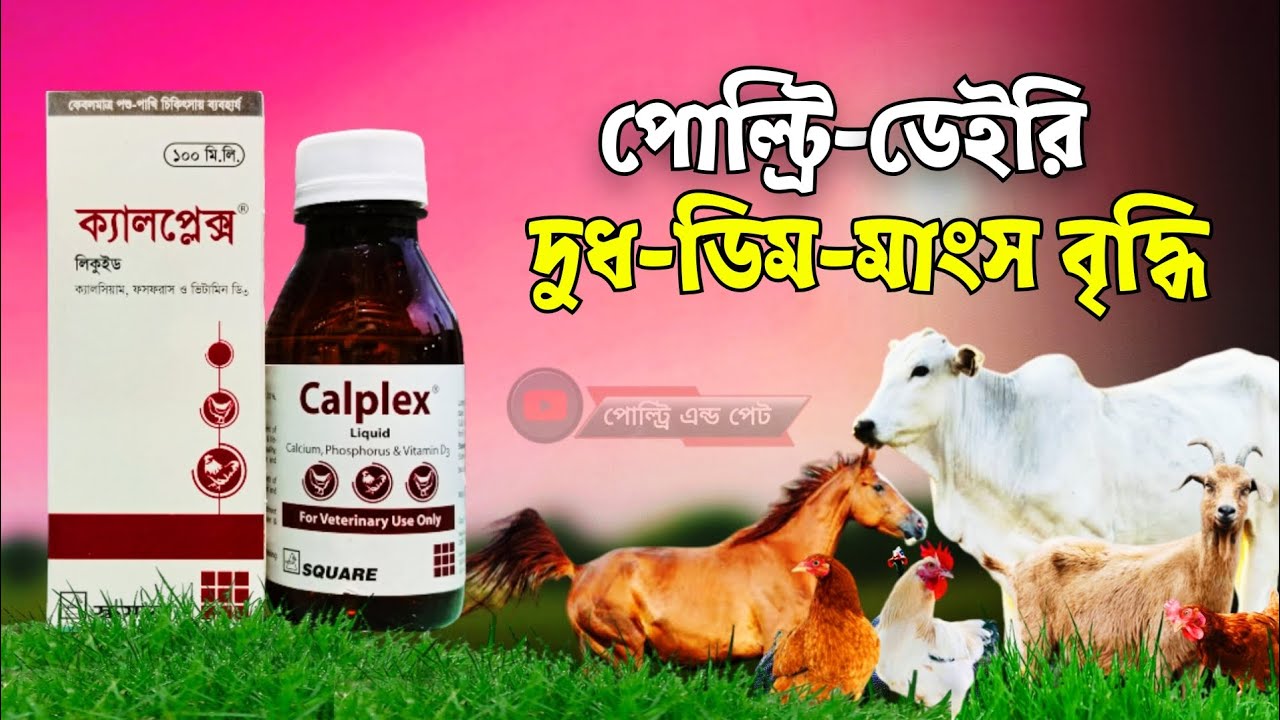 Charlining farishtalari porno parodiya