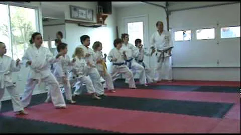 Karate Clinic, guest instructor Shihan Sugimoto.mpg