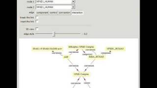 Handling Molecular Pathways in Systems Biology