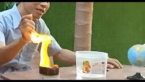 Sự Thật Phát Ra Câu Nói "Lòng Tham Không Đáy" 1..