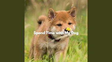 Sultry Backdrops for Forgetting Mirrors