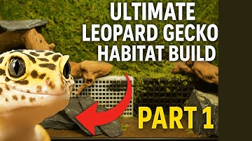 Building My Leopard Gecko the ULTIMATE Bioactive Terrarium - Part 1