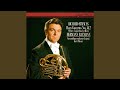Miniature de la vidéo de la chanson Concertino For Horn And Orchestra, Op. 45, J. 188: Ii. Andante Con Moto