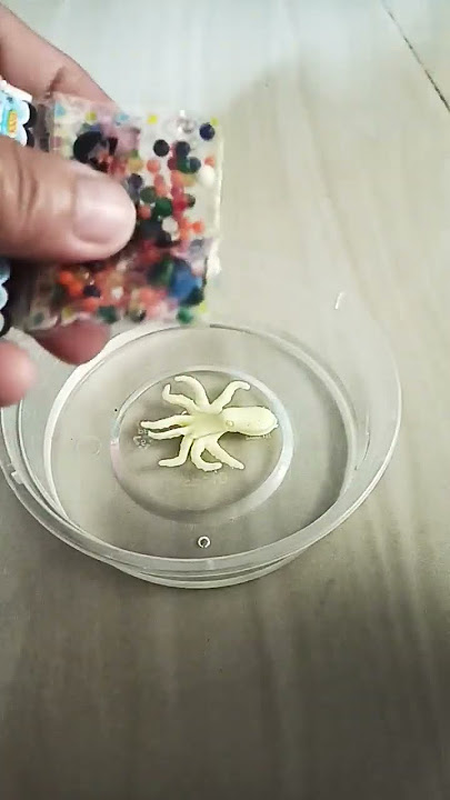 Seven Color Crystal Ball #yearofyou #shorts