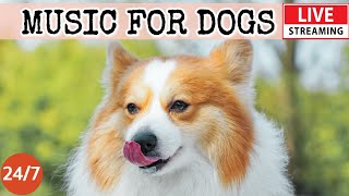 [LIVE] Dog Music🎵 Relaxing Sounds for Dogs with Anxiety🐶 Separation anxiety relief music💖Dog Calm 4