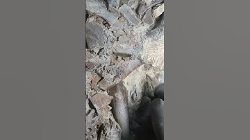 #paleontology #fossil #dinosaurbones #dig #fossilprep #fossils #greenriverformation