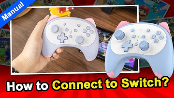 How to Connect to Switch for IINE Cat Controller?😍
