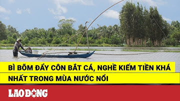 Bì bõm đẩy côn bắt cá, nghề kiếm tiền khá nhất trong mùa nước nổi | Báo Lao Động