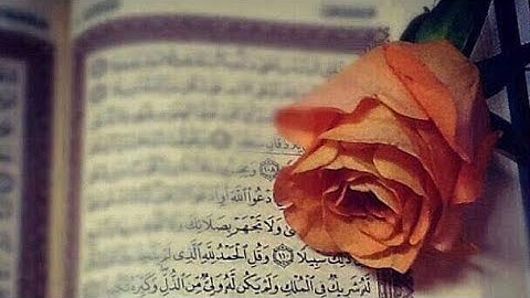 سورة الأنعام بصوت جميل Alquran Elkarem تلاوة خاشعة ومؤثرة جدا تريح القلب والنفس #اجر_لي_ولكم