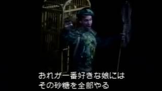 【日本語字幕】魔笛 Die Zauberflöte K.620