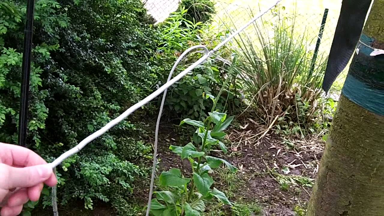 Hummingbird Hammocks Tree Strap Extensions 