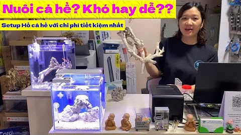 Chia sẻ cách nuôi cá hề ( Cá Nemo) với chi phí tiết kiệm nhất.