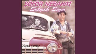 Bir Yabancı Gibiydin Resimi