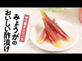 みょうがのおいしい酢漬け（甘酢漬け）の作り方　料理研究家：麻生怜菜　【日本自然発酵】