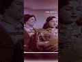 மாசிலா உண்மை காதலே😍🎶❤️| MGR பாடல்கள் | MGR | #tamil #tamilsong #shorts #mgr #oldsong #trending #tvk
