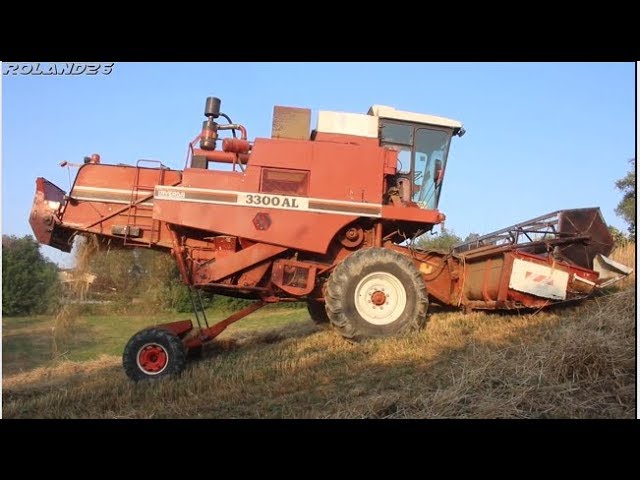 Fiatagri Laverda 3300 AL [Az. Agr. Flamminj] -Harvest Season 2019 