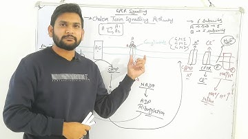 GPCR-Cholera Toxin  Signalling Pathway|CSIR NET|