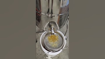 First pull of the spring honey flow May 2025 using the Hillco electric spinner.