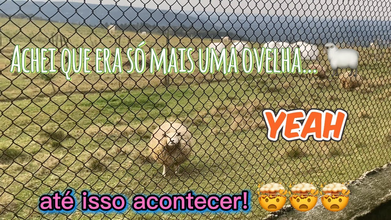 O Vídeo Mais Misterioso Que Você Vai Ver Hoje 