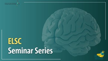 How cortical circuits talk: Neural dynamics underlying cognition