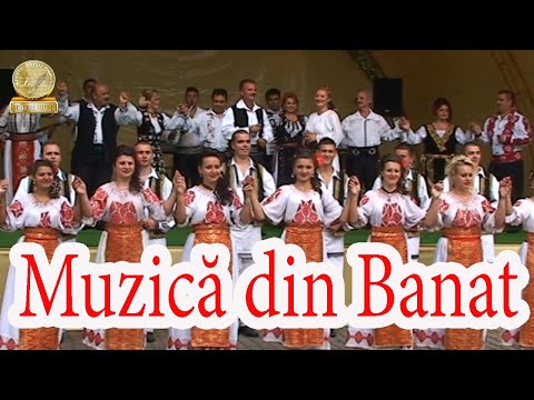 Colaj Brauri Banatene