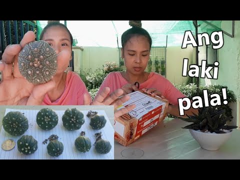ASTERIAS UNBOXING AND
